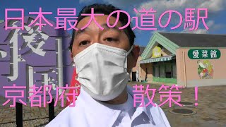 ＝RPI＝　日本最大の道の駅　京都府【丹後王国】食のみやこを紹介＆散策！　甲子園球場８個分の広さ！入場無料　Tango kingdom japan