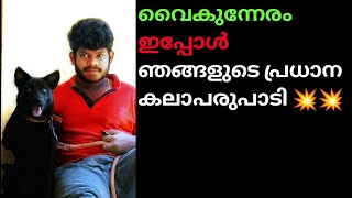 വൈകുന്നേരത്തെ ഞങ്ങളുടെ പണി|#vlog #wayanadan_mallu_vlog