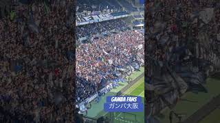 Gamba Osaka Fans 16 March 2024 #j1league #ガンバ大阪 #サッカー #fans