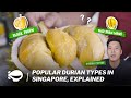 Popular durian types in Singapore, explained