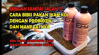 CARA BIBIS PAKAN IKAN KOI DENGAN PROBIOTIK DAN MANFAATNYA | JANGAN SAMPAI SALAH !!!