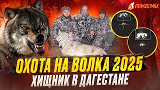 Охота на волка в Дагестане с RikaNV 2025! Добыли хищника на Кавказе🔥👍