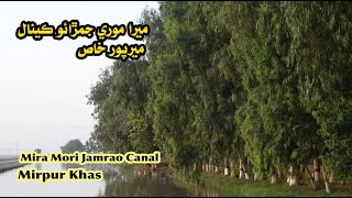 Mira Mori Jamrao Canal Mirpur Khas #JamraoCanal #MirpurKhas #IshaqueAnsari