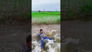 বলদে কামডা করলো কি #viralvideo  #funny #comedy #villagevlog #villagelife #viralshorts #funnyvideo