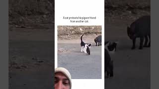 What an odd friendship