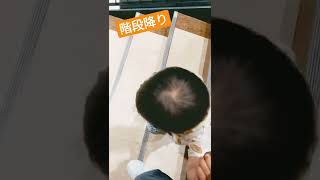 １歳半の階段の降り方 #階段 #1歳児 #お散歩