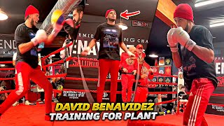 David Benavidez training for Caleb Plant. Media training. Benavidez vs Plant HIGHLIGHTS BOXING 2023