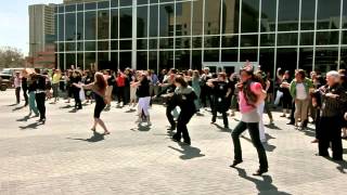 I'm A Believer - Edmonton Stop Clean Wash Hands Flash Mob