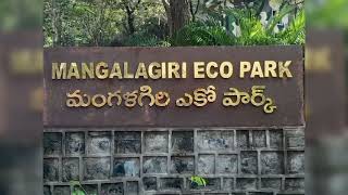 MANGALAGIRI ECO PARK