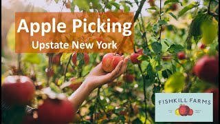 Apple Picking Upstate New York #ExploreWithKirti