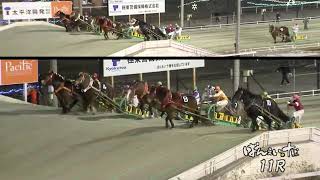 2021/12/30 帯広競馬11R ヤングチャンピオンシップ（BG2）ヤマカツエース