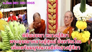 พิธีขอขมา หลวงปู่สิลา พระอุชฌาหลวงปู่สูนย์ จันทวัณโณ เพื่อเตรียมบูรณะเจดีย์หลวงปู่สีลา| Life in Isan