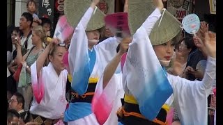 「江戸浮連・蜂須賀連」阿波踊り 第58回東京高円寺阿波おどり（2014.8.23）