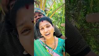 #swapnaswamyvlogs #swapnaswamyvillagelife #pochammachethivanta