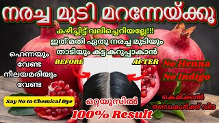 കഴിച്ചിട്ട് വലിച്ചെറിയുന്നത് മതി നരച്ചമുടി കറുപ്പിക്കാൻ||Natural Hair Dye||Chemical Free Hair Dye