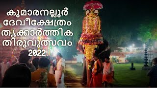 Kumaranalloor Devi Temple Thrikkarthika Thiru Utsavam 2022