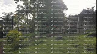 Couple Hiking: Man and woman walking uphill pathway along tropical trail.