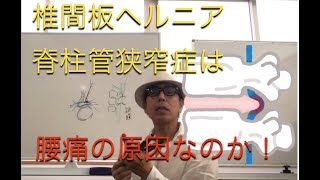 ヘルニア　脊柱管狭窄は　腰痛の原因なのか？