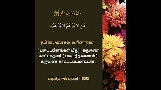 அன்பு | கருணை | இரக்கம் # Tamil Daily Hadees # Tamil Hadees Audio