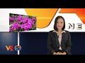 ข่าว vr โสภณ news ประจำวันที่ 19 ตุลาคม 2562