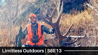 Incredible Last Minute Colorado Bull Elk - Part 4 | S6E13 | Limitless Outdoors