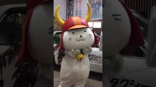 ひこにゃん 日曜朝にサプライズ登場