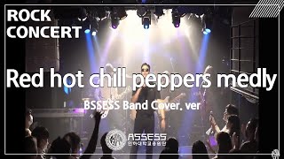 Red hot chill peppers medley_인하대학교 응원단 ASSESS