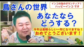 「今年は素晴らしい一年になりますね！おめでとうございます！」　ハッピーインコ＆はがひでき