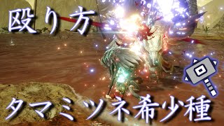 [MHRise:sunbreak] タマミツネ希少種　ハンマー 殴り方　解説　[モンハンライズサンブレイク]