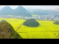 罗平油菜花（luo ping cole flowers）