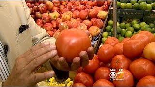 Fresh Grocer Tony Tantillo: Tomatoes