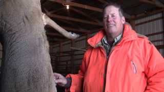 Wildwoods Outfitter Inc. - Tim's Deer