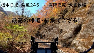 Super Tenere  ツーリング ～最高の峠道・紅葉～栃木日光県道245→霧降高原大笹牧場/~Great winding road, autumn foliage~Tochigi Nikkou