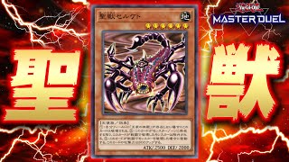 【遊戯王マスターデュエル】君は「聖獣セルケト」とかいう最強の守護神を知っているか？【Yu-Gi-Oh! Master Duel】