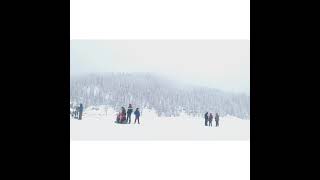 Gulmarg to doodhpathri skiing and snowing trip.