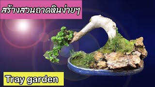 สร้างสวนถาดหิน,บอนไซจิ๋ว,how to do a tray garden,mini bonsai,แก้ว สุพัน bonsai on therock