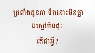 ៣. កម្រងពាក្យបណ្ដៅខ្មែរ៖ ដើមមួយត្រួយបួន ផ្កាពេញខ្លួន ផ្លែតែពីរ តើជាអ្វី? (Thmey Thmey)