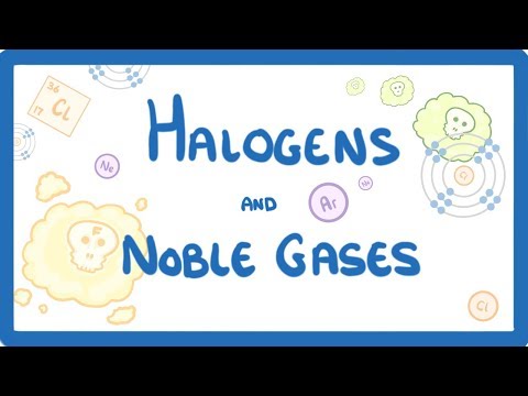 What is one similarity and one difference between the halogen and noble gas groups?