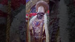 Thiruvallikeni Sri Parthasarathy Perumal Dhivya Sevai.திருவல்லிக்கேணி ஸ்ரீ பார்த்தசாரதி பெருமாள்