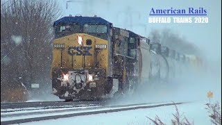 BUFFALO TRAINS 2020