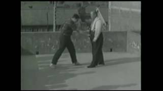 Wang Shu Jin: Xingyiquan, Baguazhang, Taijiquan