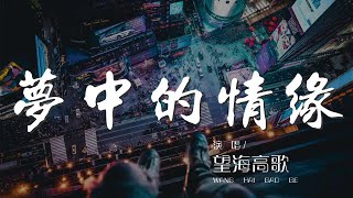 夢中的情緣 - 望海高歌『給夢中的情緣一片藍天』【動態歌詞Lyrics】