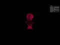 Web Interactive Particle Warp Simulation.