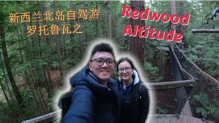 32 【AboutTwos】纽西兰北岛自驾游罗托鲁瓦之红木森林 | New Zealand Road Trip To Rotorua Redwoods Altitude (Man \u0026 ENG Sub)