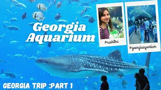 The Most Amazing Aquarium - Georgia Aquarium -सर्वात मोठा आणि सुंदर मत्स्यालय| Marathi Vlog |Marathi