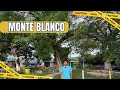 AQUÍ se agarraban a BALAZOS LAS PANDILLAS ⚠️MONTE BLANCO ⚠️