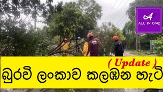 බුරවි ලංකාව කලඹන හැටි | Buravi in Srilanka (Update)