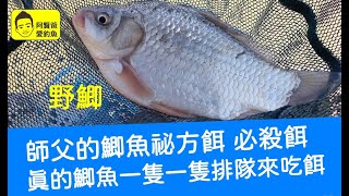 【阿賢爸】愛釣魚 Ep.188 師父的鯽魚祕方餌  必殺餌 真的鯽魚一隻一隻排隊來吃餌     (大咬釣組金珠釣法珠鉤釣法)