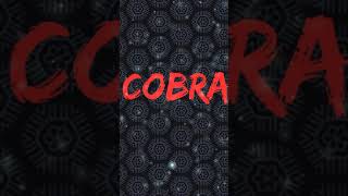 "Cobra" - Indian Trap Beat | No Copyright Music