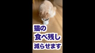 猫の食べ残しをなくす魔法の技